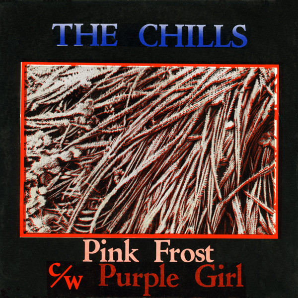Pink Frost / Purple Girl
