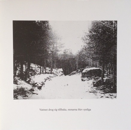 Vattnet Drog Sig Tillbaka, Stenarna Blev Synliga