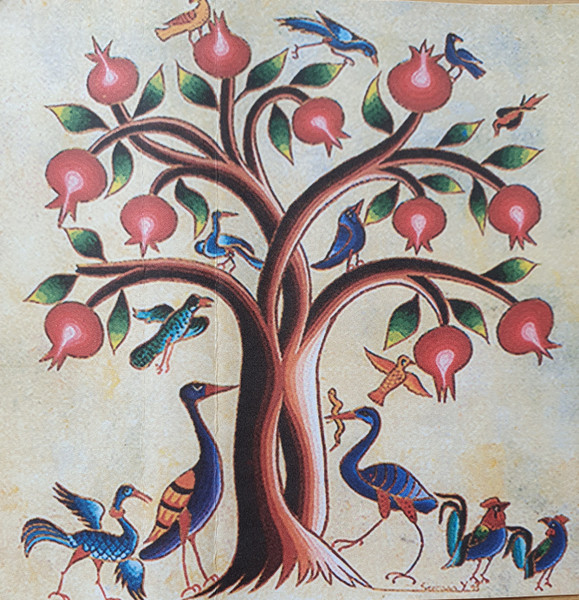 The Pomegrenate Tree