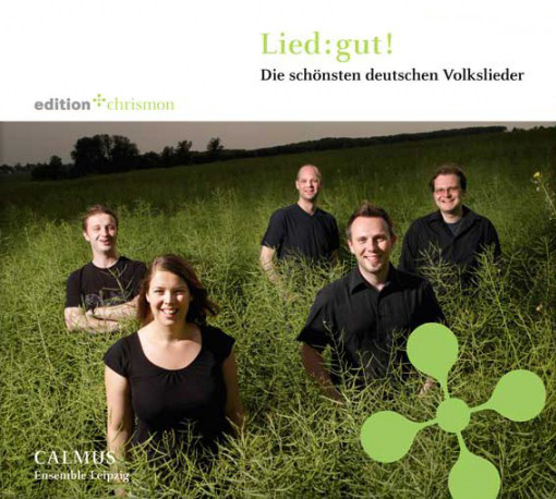 Lied:gut! (Die Schönsten Deutschen Volkslieder)