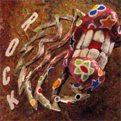 Rock Music From The Netherlands