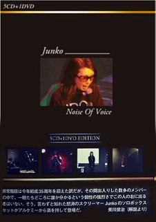 Noise Of Voice 
