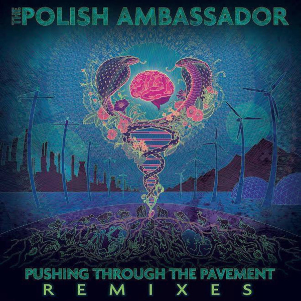 Pushing Through The Pavement Remixes