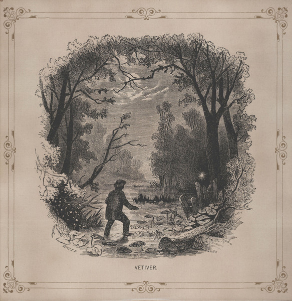 Vetiver