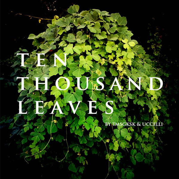 Ten Thousand Leaves