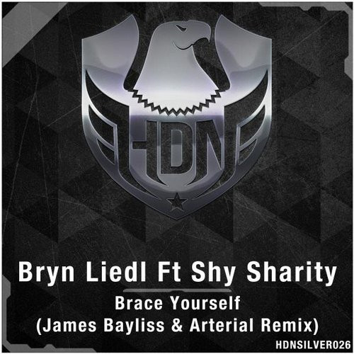 Brace Yourself (James Bayliss & Arterial Remix)