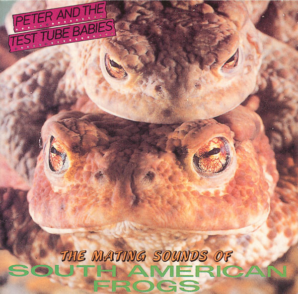 The Mating Sounds Of South American Frogs