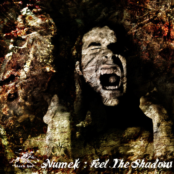 Feel The Shadow