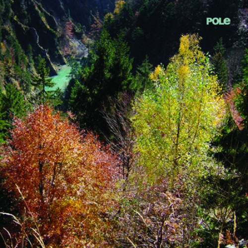 Wald