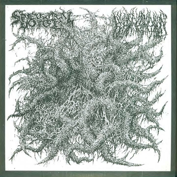 Spectral Voice / Blood Incantation