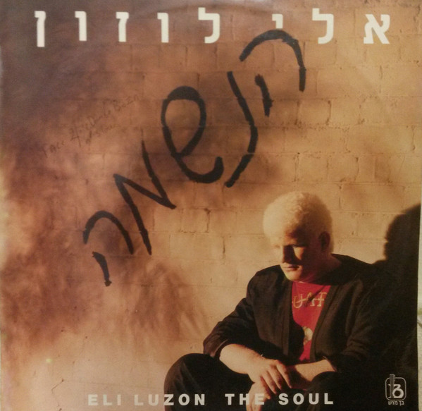 הנשמה = The Soul 