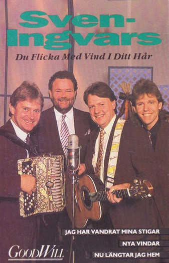 Du Flicka Med Vind I Ditt Hår