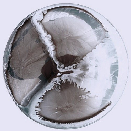 Mines EP