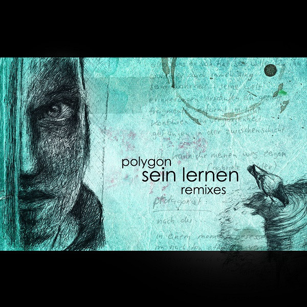Sein Lernen Remixes