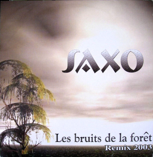 Les Bruits De La Forêt (Remix 2003)