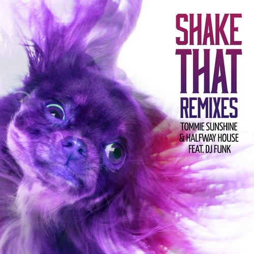 Shake That Remixes