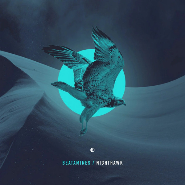Nighthawk