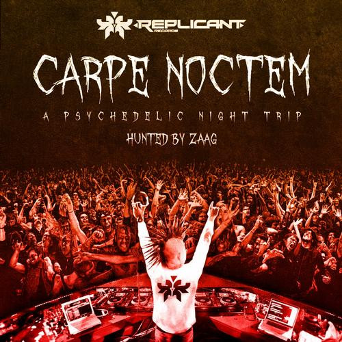 Carpe Noctem - A Psychedelic Night Trip