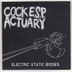 ELECTRIC STATIC BODIES