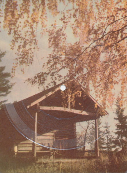 Metsäkukkia
