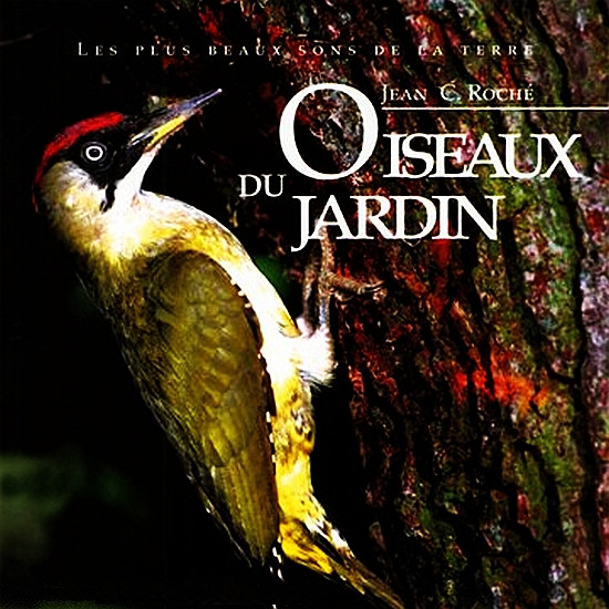 Oiseaux Du Jardin