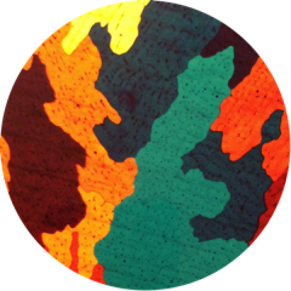 Fire Flate Ep