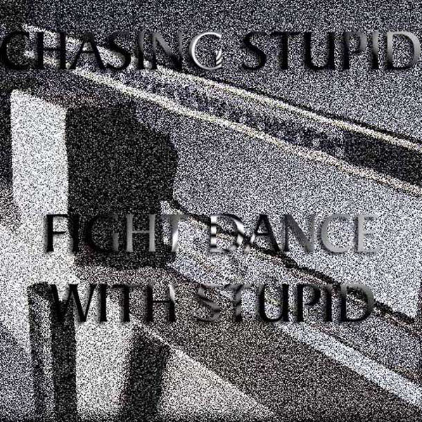 Fight Dance With Stupid