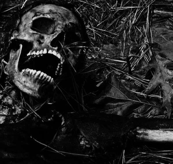 Gnawing II