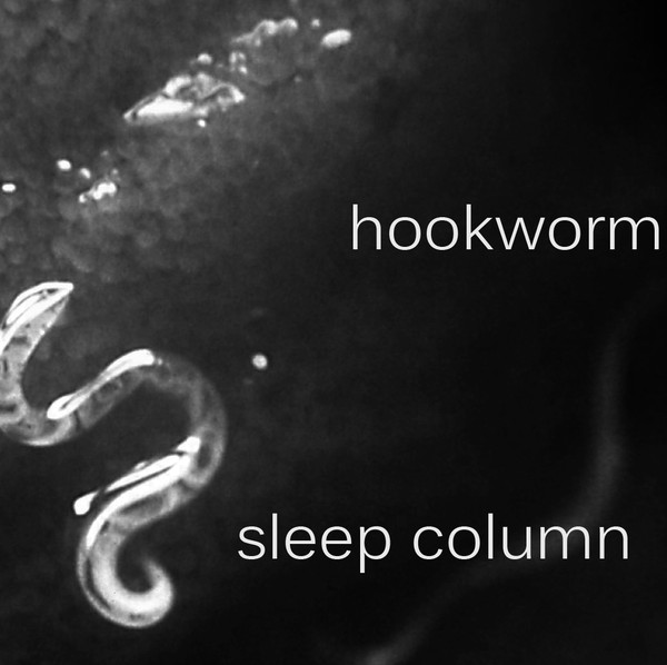 Hookworm