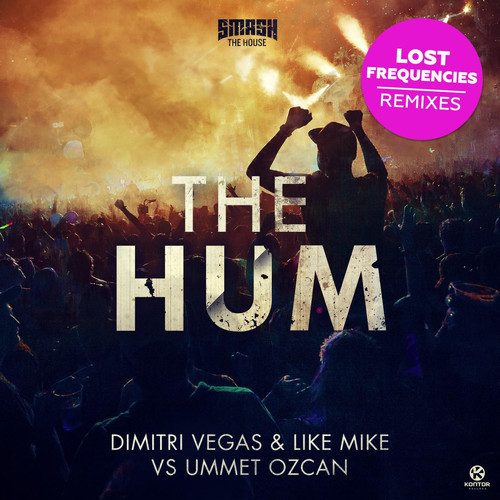 The Hum (Lost Frequencies Remix)