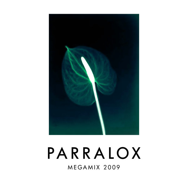 Megamix 2009