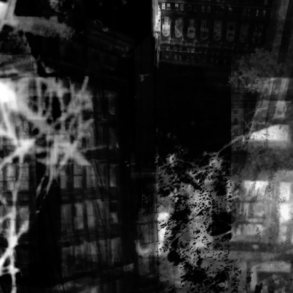Live At Nuit Noire IX