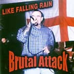 Like Falling Rain