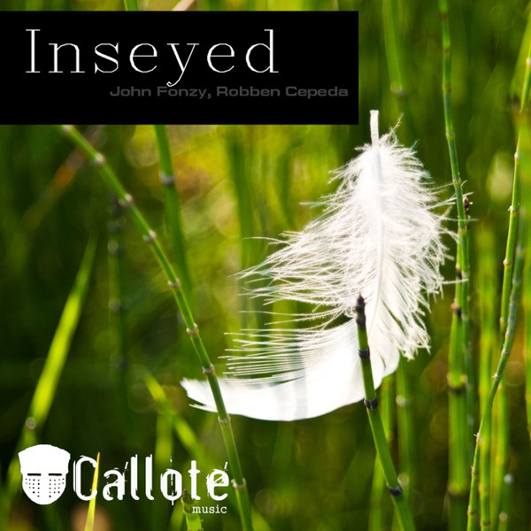 Inseyed