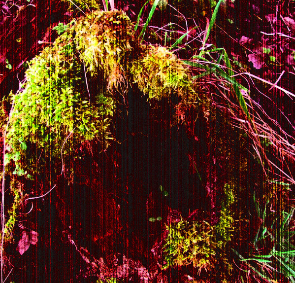Dead Seed Inside