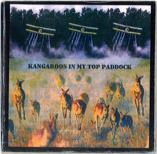 Kangaroos In My Top Paddock