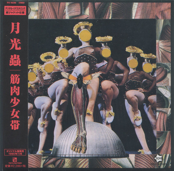 月光蟲