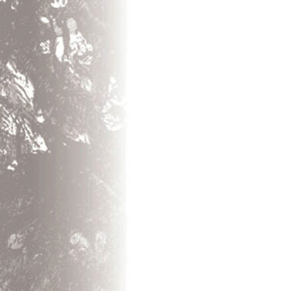 Fragments Of An Untold Story Born By Shunning The Opportunity