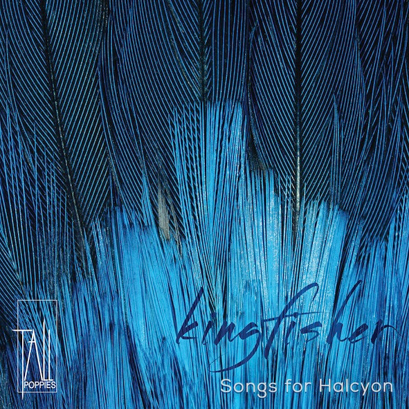 Kingfisher - Songs For Halcyon