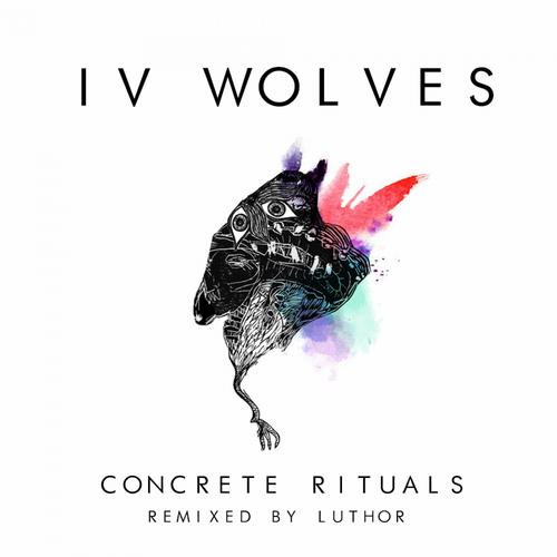 CONCRETE RITUALS