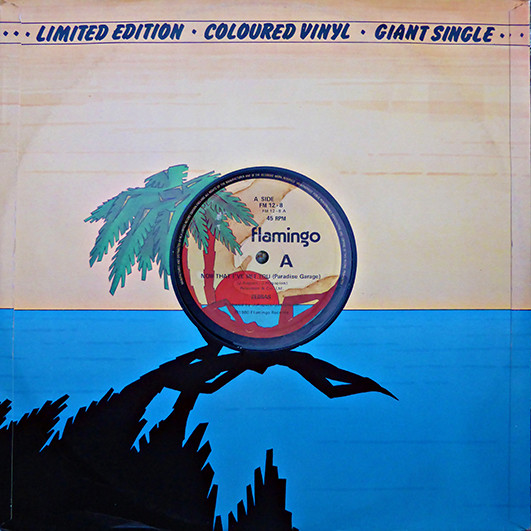 Now That I've Met You (Paradise Garage) / Animal