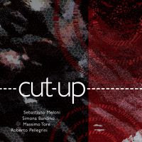 Cut -up