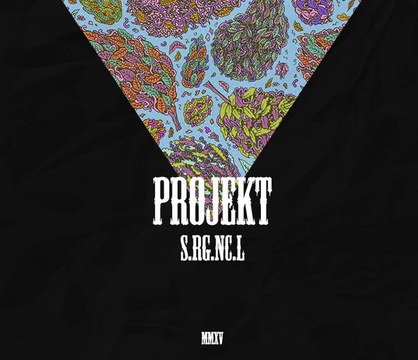 Projekt