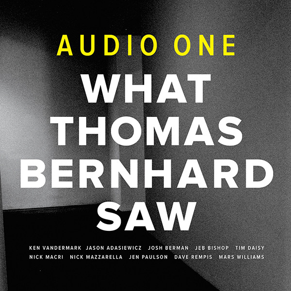 What Thomas Bernhard Saw