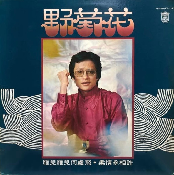 野菊花