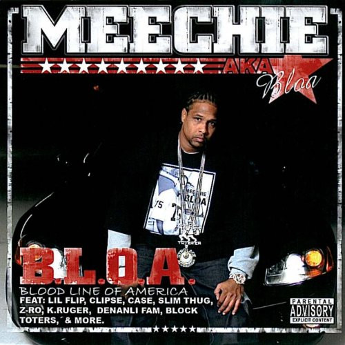 B.L.O.A. (Blood Line Of America)
