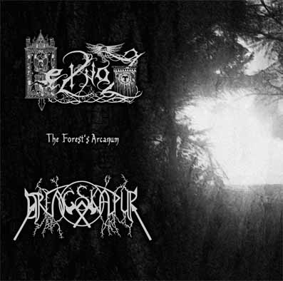 The Forest's Arcanum
