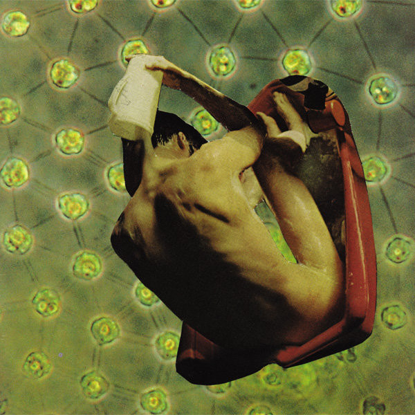 Contorted in Deep Space