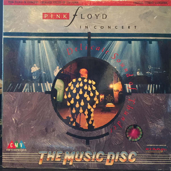 In Concert - Delicate Sound Of Thunder