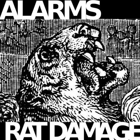 Alarms / Rat Damage